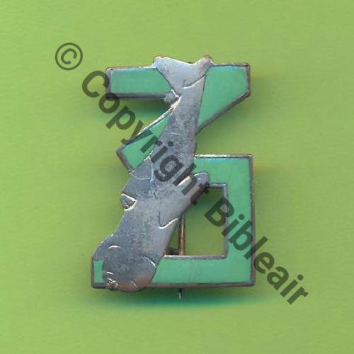 03e.EC 45.49 FAFL ALLEMAGNE INDO  SM Eping bascule bijoutier Dos lisse irreg 27x19mm Src.Y.GENTY 290Eur(x5)+++ 